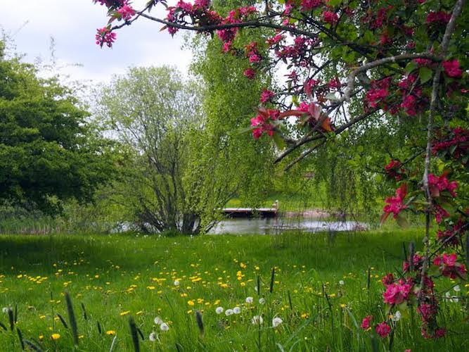 Turen går blandt andet om ad Græsted Folkepark, hvor dette vinderbillede fra fotokonkurrencen 'Mit Græsted' er taget. På Mit Græsted Tur kan man ved hjælp af app'en se billeder fra gamle dages Græsted. Foto: BLIK-Græsted Bibliotek