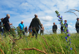 Foto: Nationalpark Kongernes Nordsjælland.